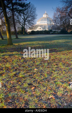 Verticale / Foto ritratto del Palm House Sefton Park, Liverpool Regno Unito GB EU Europe Foto Stock