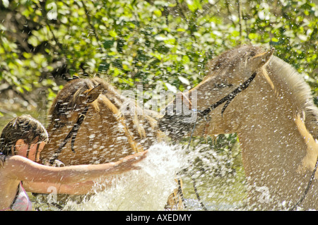Ragazza e due cavalli in acqua Foto Stock