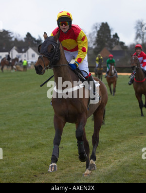 Paxford, north cotswold da punto a punto Foto Stock