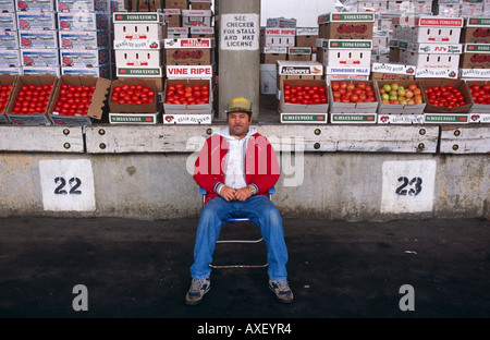 Stallholder siede davanti al suo pomodori ad Atlanta Membro dell'agricoltore, Mercato di Atlanta in Georgia negli Stati Uniti Foto Stock