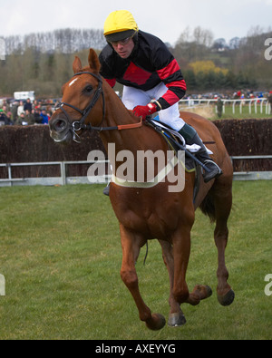 Paxford, north cotswold da punto a punto Foto Stock