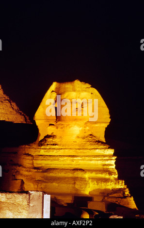 Giza Egitto la Grande Sfinge di Giza alla notte Son et Lumiere Foto Stock