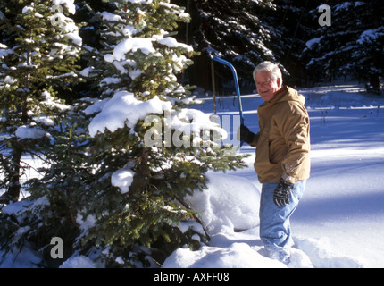 Alti circa per la raccolta di albero di Natale Foto Stock