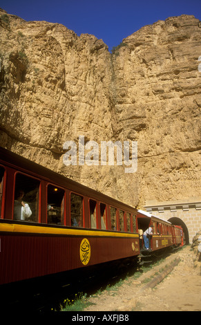 Treno di entrare sul tunnel Le Lezard Rouge Selja Tunisia Africa Foto Stock