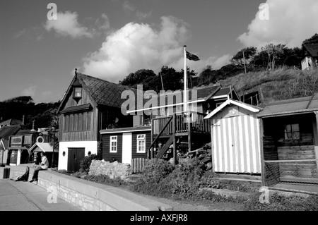 Seaside, Steephill Cove ,Ventnor, Isola di Wight, Inghilterra, Regno Unito, GB. Foto Stock