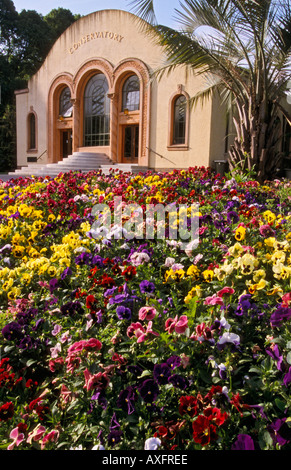 Il Conservatorio, i Giardini Fitzroy, Melbourne, Australia Foto Stock