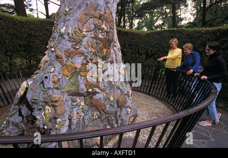 Fate' Albero, i Giardini Fitzroy, , Melbourne, Victoria, Australia Foto Stock