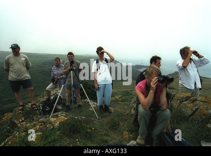 Twitchers guardando Choughs sul Lizzard Cornwall Inghilterra Foto Stock