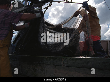 I pescatori di sardine reti di smistamento a bordo dell'Highlander Penzance Cornwall Regno Unito Foto Stock