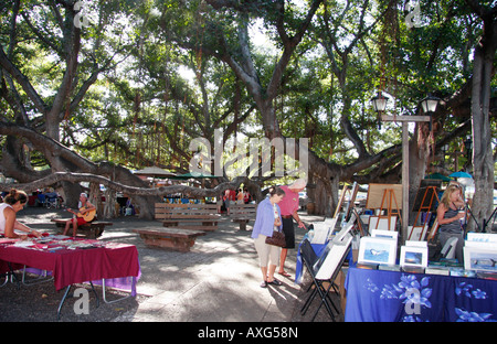 Mercato artistico locale SOTTO IL PIÙ GRANDE BANYAN alberi nel mondo che è in LAHAINA ,Maui, Hawaii. È LA DIMENSIONE DI UN BLOCCO DI CITTÀ Foto Stock