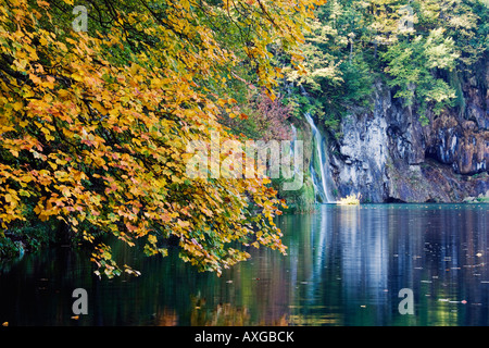 Il Parco Nazionale dei Laghi di Plitvice, Croazia Foto Stock