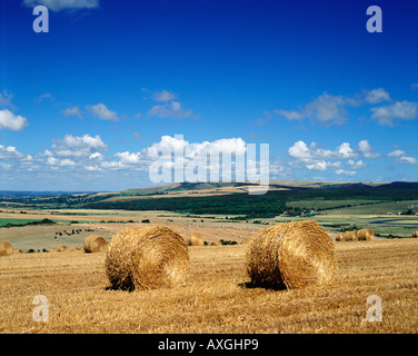 Le balle di paglia al tempo del raccolto sulla South Downs, Sussex, England, Regno Unito Foto Stock