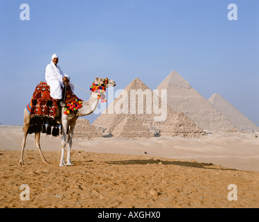 Il cammello e la guida di fronte le Piramidi di Giza Cairo Egitto Nord Africa Foto Stock