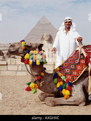 Driver del cammello cammello e nella parte anteriore della Sfinge e piramide, Il Cairo, Egitto, Nord Africa Foto Stock