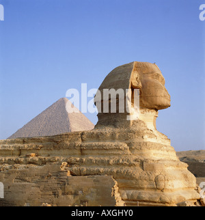 La sfinge e la Piramide di Giza, Cairo, Egitto, Nord Africa Foto Stock