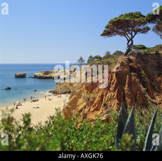 Il Portogallo Algarve Praia de Maria Luiza vicino a Albufeira da scogliere Foto Stock