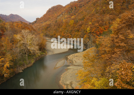 Fiume Nukabira, Hidaka montagne, Hokkaido, Giappone Foto Stock