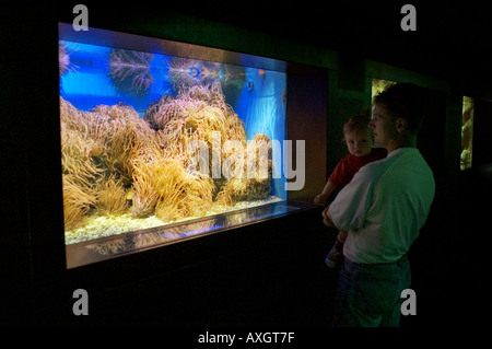 Padre e figlia in piedi di fronte ad un acquario Foto Stock