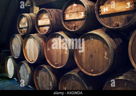 Barili di birra in una cantina a Bruxelles Foto Stock