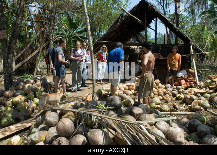 Visita turistica alla piccola noce di cocco produzione di copra Minahasa Highlands Sulawesi Utara Nord Sulawesi Indonesia Foto Stock