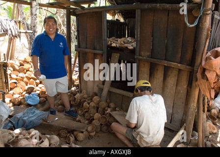 Visita turistica alla piccola noce di cocco produzione di copra Minahasa Highlands Sulawesi Utara Nord Sulawesi Indonesia Foto Stock