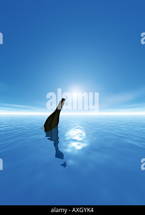 Un messaggio in bottiglia Flaschenpost Foto Stock