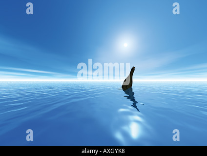 Un messaggio in bottiglia Flaschenpost Foto Stock