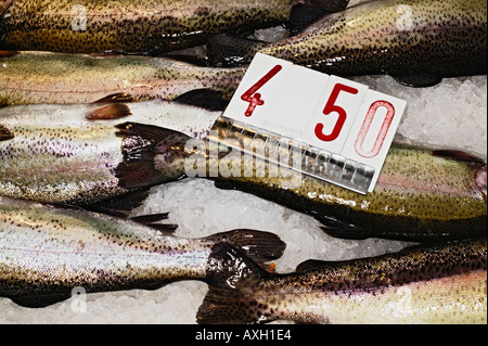 Visualizzazione di pesce fresco al mercato del pesce a Venezia Foto Stock