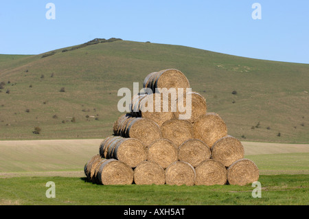 Balle di paglia nel Wiltshire, Inghilterra Foto Stock