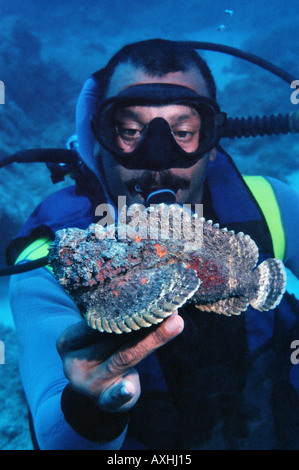 Scubadiver tenendo un pesce pietra in mano Foto Stock