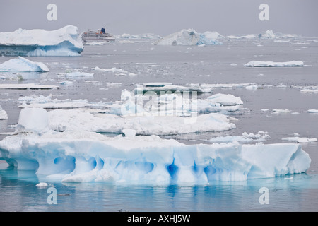 La nave di crociera navigando tra gli iceberg in Antartide intorno Paulet island Foto Stock