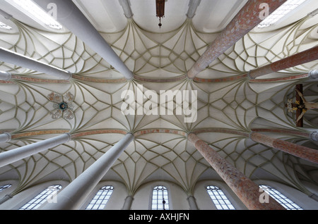 Lauingen, Stadtpfarrkirche San Martino ('Martinsmünster'), Gewölbe Mittelschiff im Foto Stock