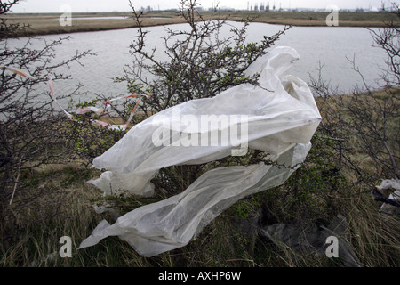 Plastica soffiata da un terreno sito di riempimento nella guarnizione Sands vicino a Middlesbrough Cleveland, Regno Unito Foto Stock