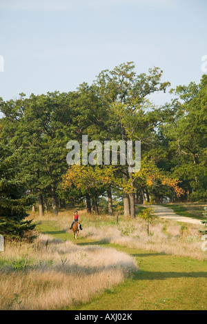 ILLINOIS Donna di equitazione su erba rasata trail a Glen Raven Forest Preserve parallelamente alla ghiaia percorso ricreativo Foto Stock