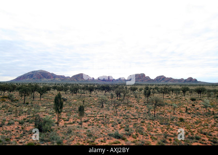 L'Olgas - Kata Tjuta - Monte Olga [Docker River Road, Uluru-Kata Tjuta National Park, il Territorio del Nord, l'Australia, Oceania]. Foto Stock