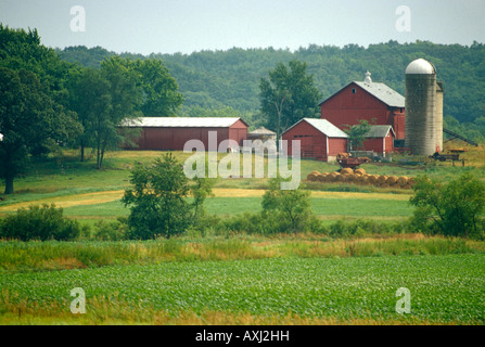 WISCONSIN Walworth County Red fienili e silos in valle di rotoballe di fieno opaco giorno dopo la pioggia Foto Stock