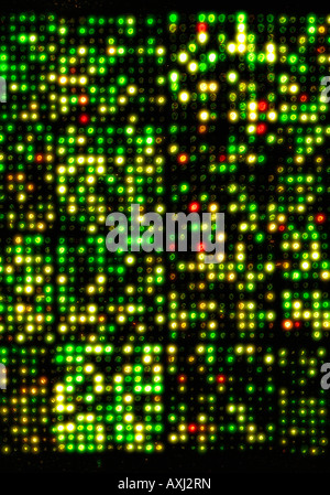 Micro array di DNA chip, genoma umano struttura Foto Stock