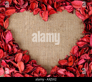Cuore realizzato da petali di rosa Foto Stock