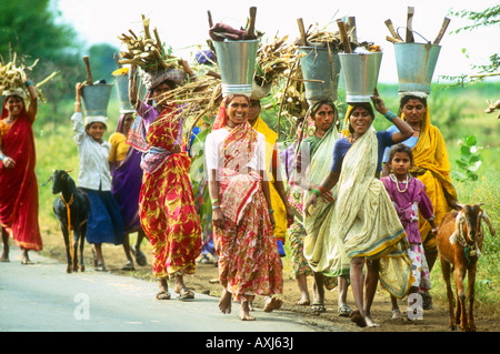 Indian contadina, bambini e capre camminando lungo la strada di campagna con benne di tagliare la canna da zucchero bilanciato sulle loro teste, Foto Stock