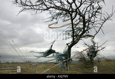 Plastica soffiata da un terreno sito di riempimento nella guarnizione Sands vicino a Middlesbrough Foto Stock