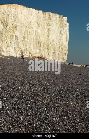 Chalk scogliere e spiaggia a Birling gap tra Eastbourne e Seaford sulla East Sussex costa. Foto Stock