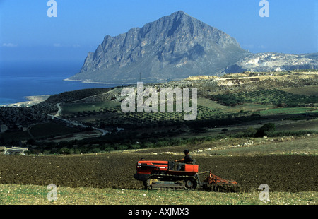 Terreni coltivati in un terreno di proprietà della famiglia fattoria organica, Valdarice, Sicilia, Italia. Foto Stock