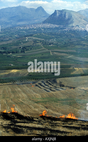 Combustione controllata di campi di stoppie, Sicilia, Italia. Foto Stock