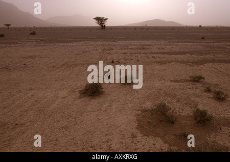 Tempesta di sabbia vicino Icht Anti Atlas Marocco Foto Stock