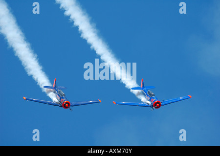 North American T-6 Texano Harvard piani della aerobatic Red Bull battenti formazione, Air show a haguenau, Francia, regione Alsazia Foto Stock