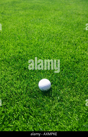 Pallina da golf su erba verde all'aperto Foto Stock