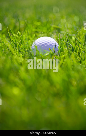 Pallina da golf nel lungo erba verde all'aperto Foto Stock