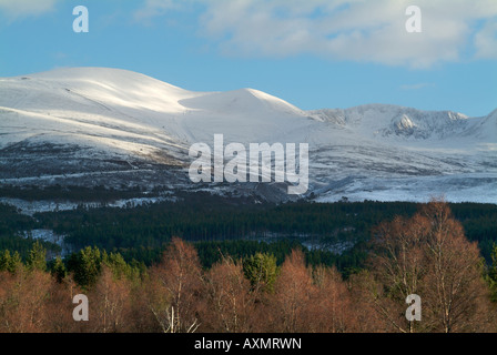 La Cairngorm montagne in inverno Foto Stock