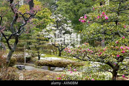 Alberi di bonsai, molla a giardino Kenrokuen, Kanazawa, Giappone. Ampiamente considerato uno dei tre giardini più belli in Giappone. Foto Stock