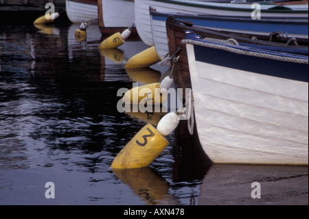 Imbarcazioni a remi in legno con boe di ormeggio a un dock a Seattle, Washington Foto Stock